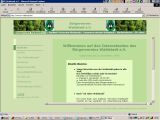 www.bv-waldstadt.de